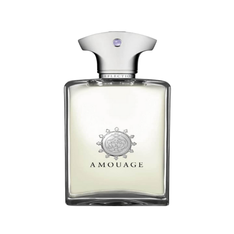 The Bold Transition Collection